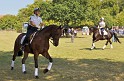 Polizeidirektion   159